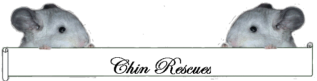 Chin Rescues