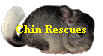 Chin Rescues
