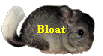 Bloat