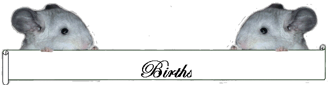 Births