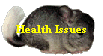 Health Issues