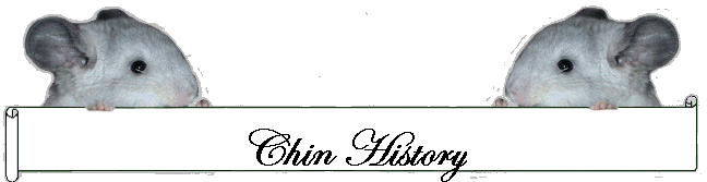 Chin History