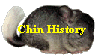 Chin History