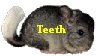 Teeth