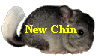 New Chin