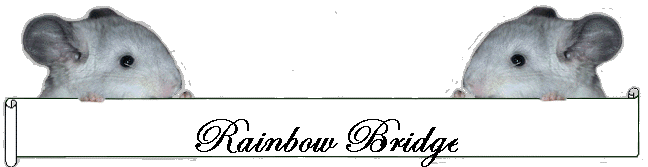 Rainbow Bridge