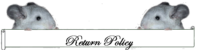 Return Policy