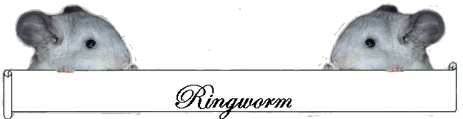 Ringworm