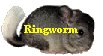 Ringworm